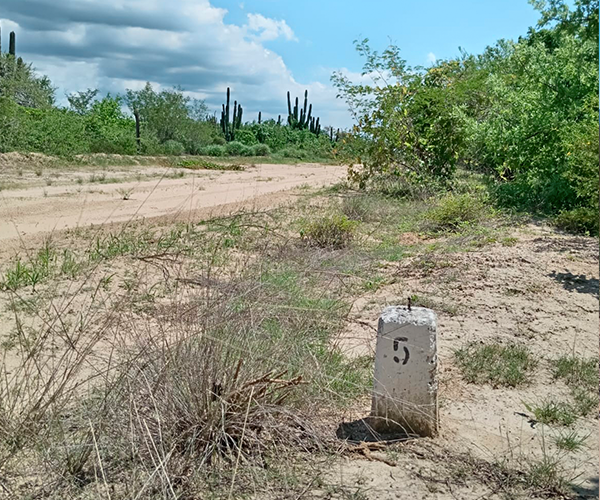 Terreno en BCA sur 5