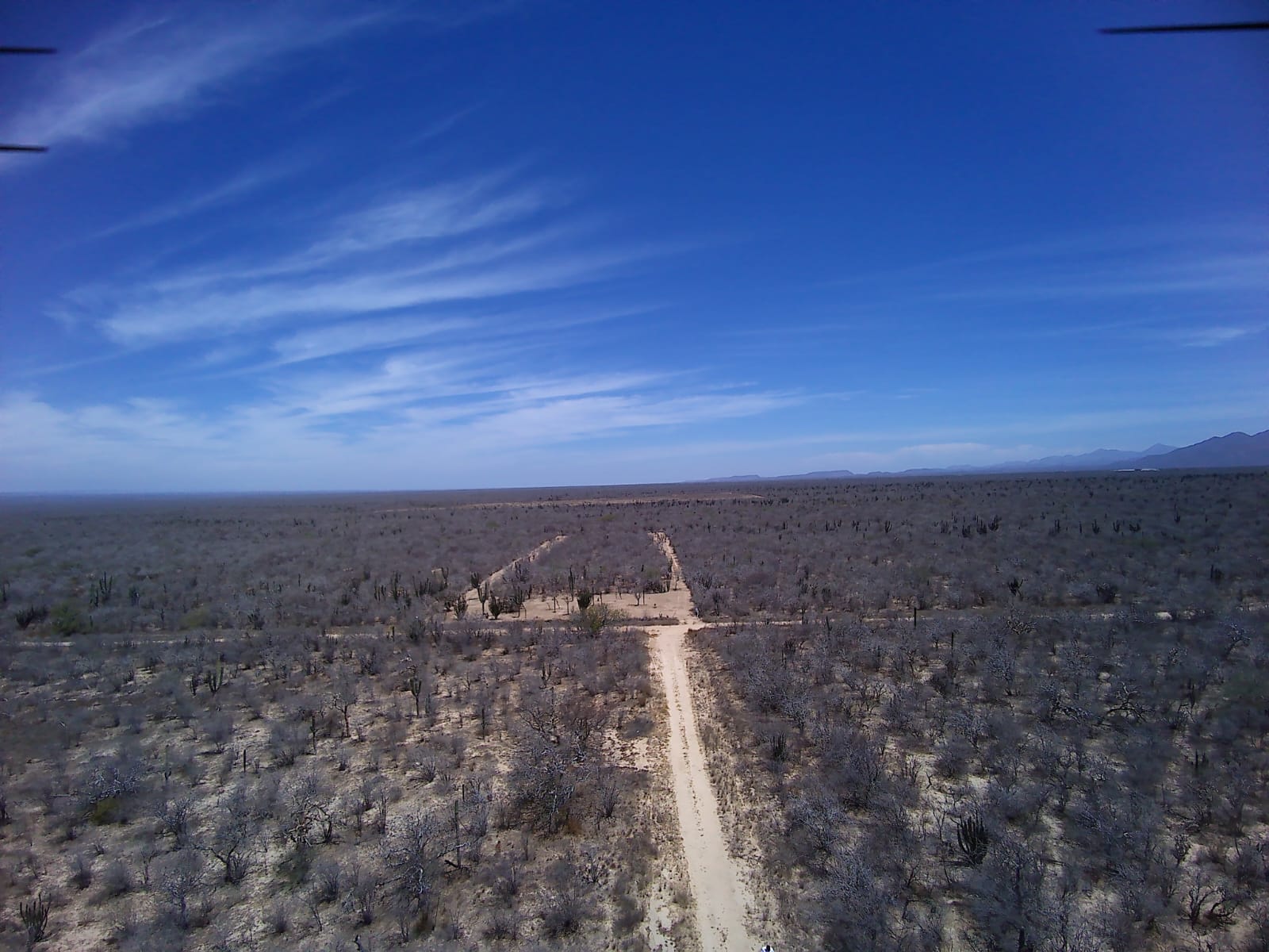 WhatsApp Image 2025-11-14 at 3.34.10 PM (1)